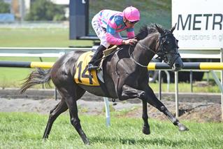 Treasure (NZ) stepped up to stakes level in style to win the Listed FastTrack Insurance Oaks Prelude. Photo: Race Images Palmerston North. 